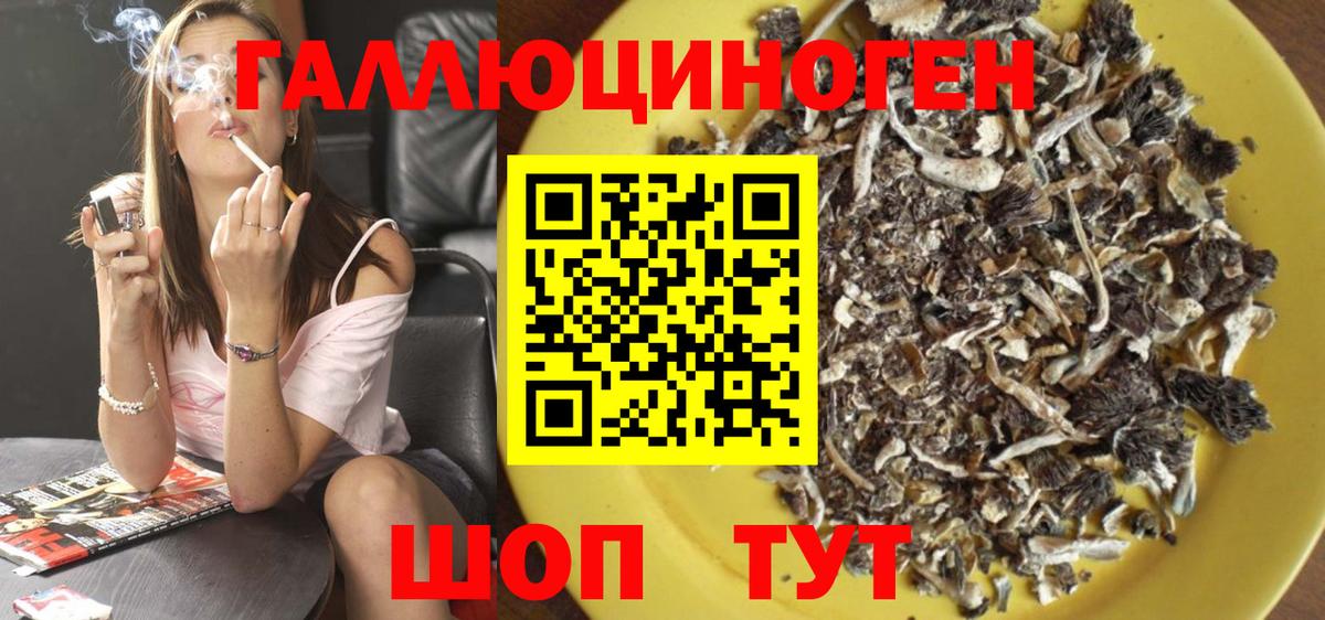 Псилоцибиновые грибы Psilocybine cubensis Элиста