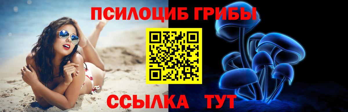 Элиста  Псилоцибиновые грибы Psilocybine cubensis  Вход с VPN 