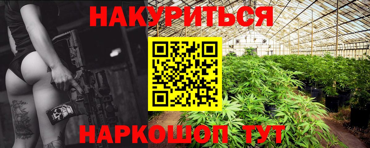 Элиста  Конопля тримм  Конопля AK-47  Вход с VPN 