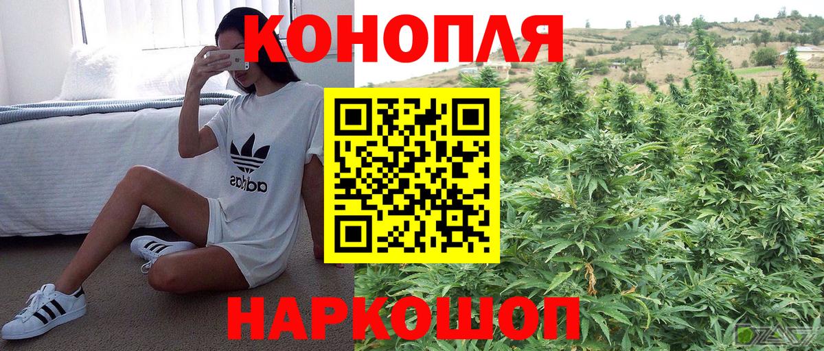 Бошки марихуана тримм Элиста